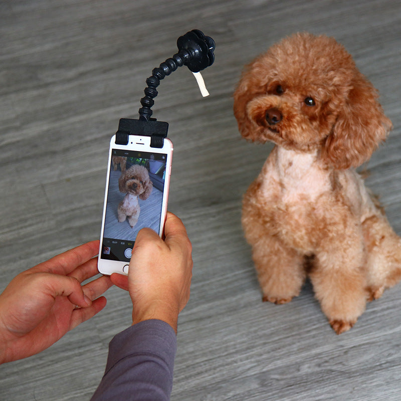 Pet Selfie Stick – Capture Perfect Pet Photos Effortlessly