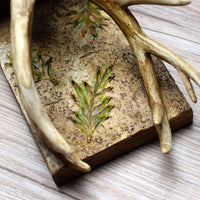 Office Decoration Ornament Antler Bookends — view 4