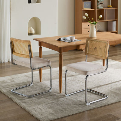 Mid Century Modern Dining Chairs Set of 2