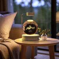 Crystal Ball Cosmic Dinosaur Indoor Night Light Usb Power Warm Bedside