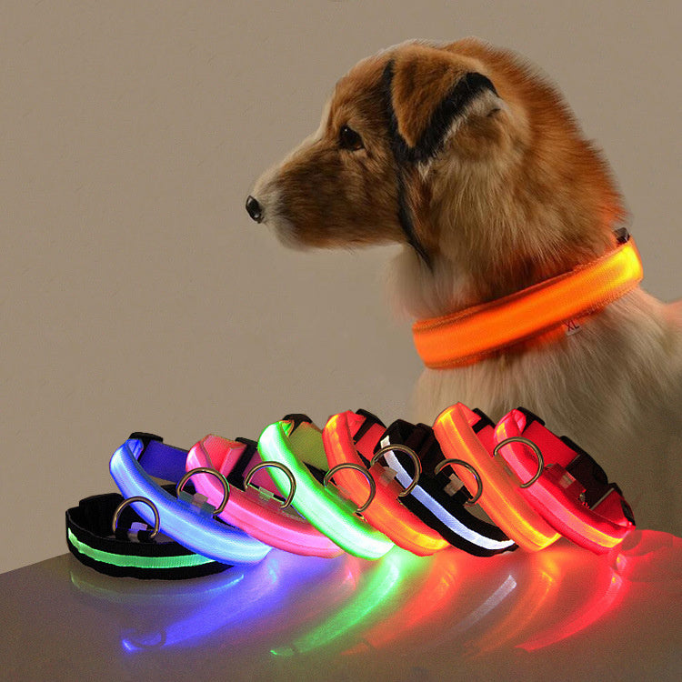 Safety Dog LED Collar – Rechargeable Light-Up Dog Collar for Nighttime Visibility