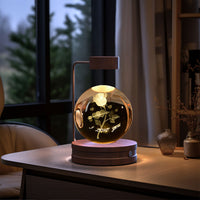 Crystal Ball Cosmic Dinosaur Indoor Night Light Usb Power Warm Bedside