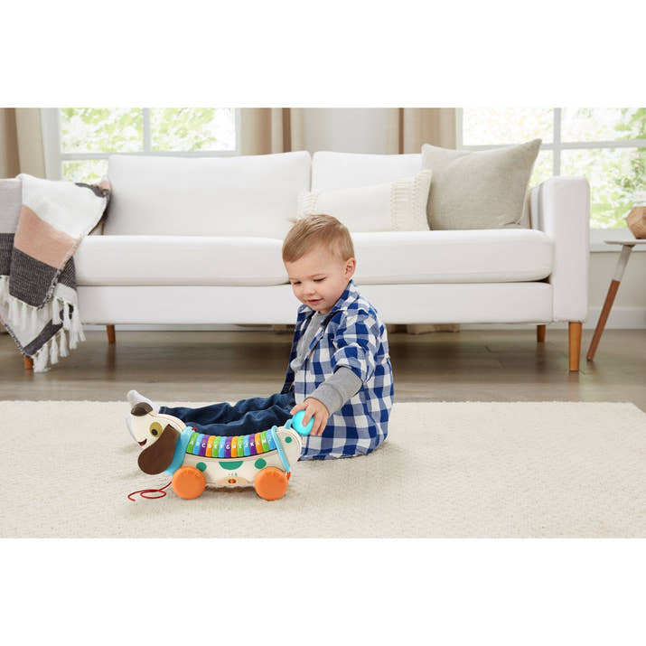 LeapFrog Wooden AlphaPup - photo 4