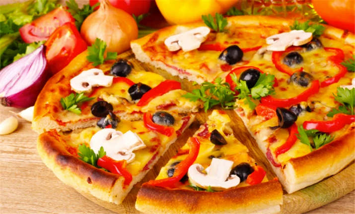 Camping Gas Pizza Oven Foldable Portable Rotating Pizza Oven Outdoor 12