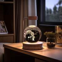 Crystal Ball Cosmic Dinosaur Indoor Night Light Usb Power Warm Bedside