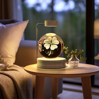 Crystal Ball Cosmic Dinosaur Indoor Night Light Usb Power Warm Bedside