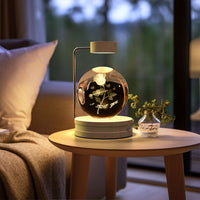 Crystal Ball Cosmic Dinosaur Indoor Night Light Usb Power Warm Bedside